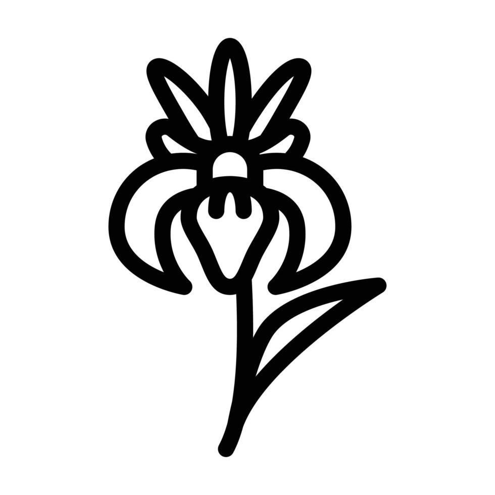 iris flower line icon vector illustration