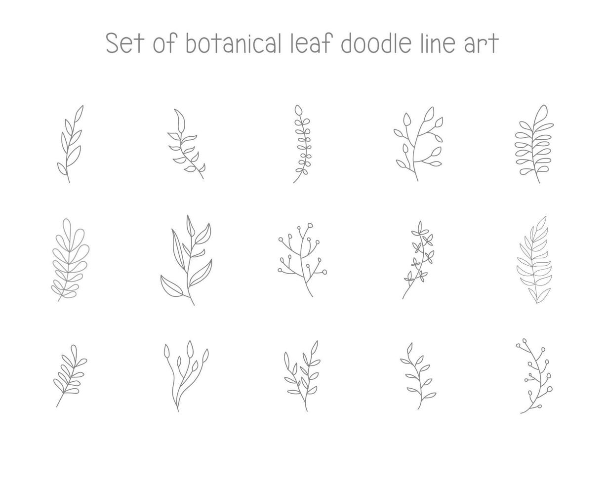 doodle art line botanical leaf element for decoration or printing vector
