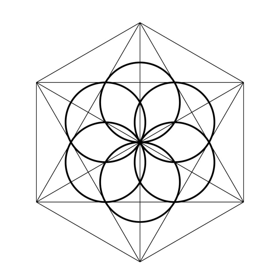 semilla de vida. ilustración de vector de geometría sagrada