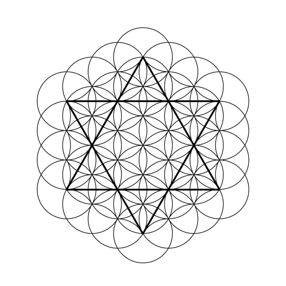 David Star with Flower of Life. Symbol of sacred geometry. vector