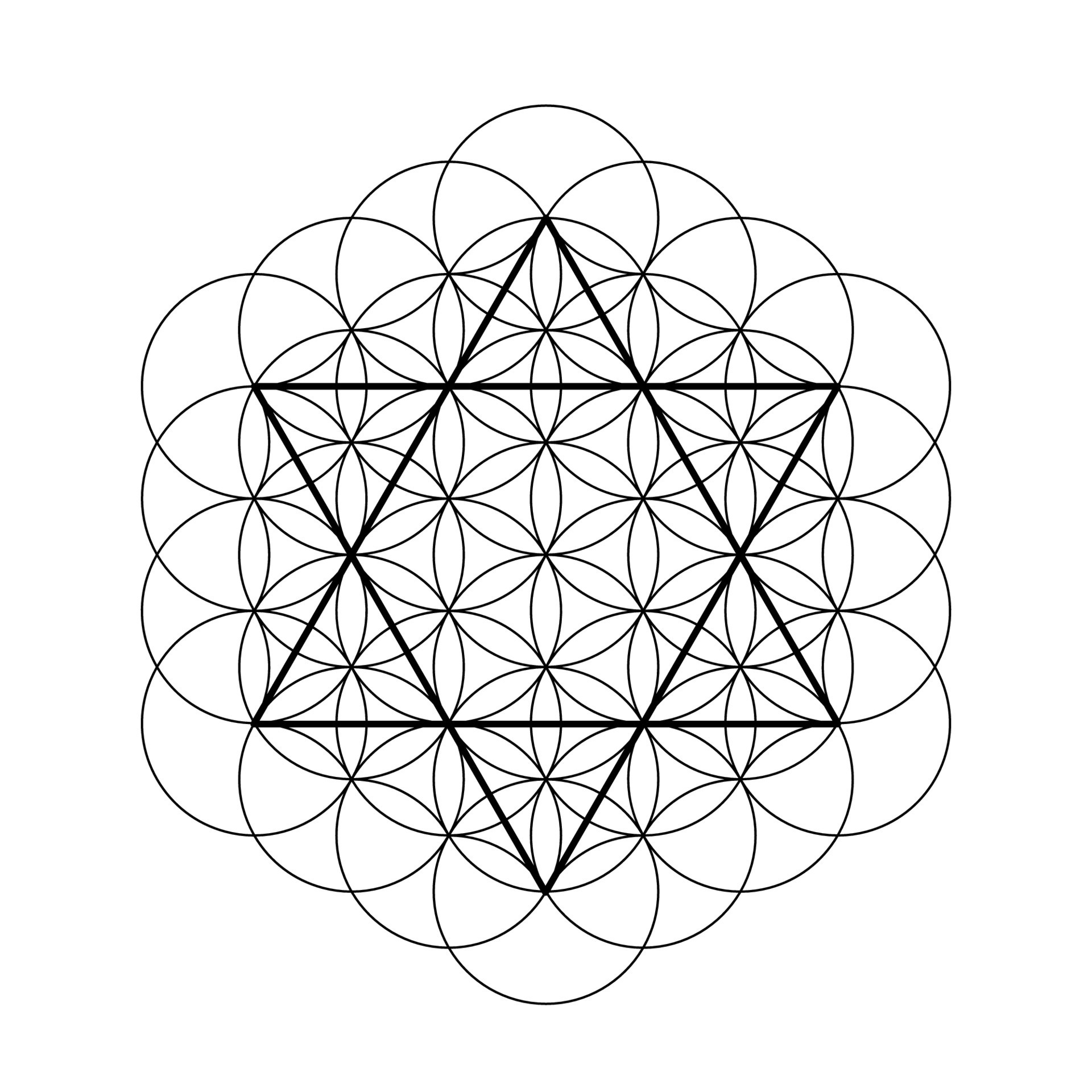 estrella de david con flor de vida. símbolo de la geometría sagrada.  8344318 Vector en Vecteezy