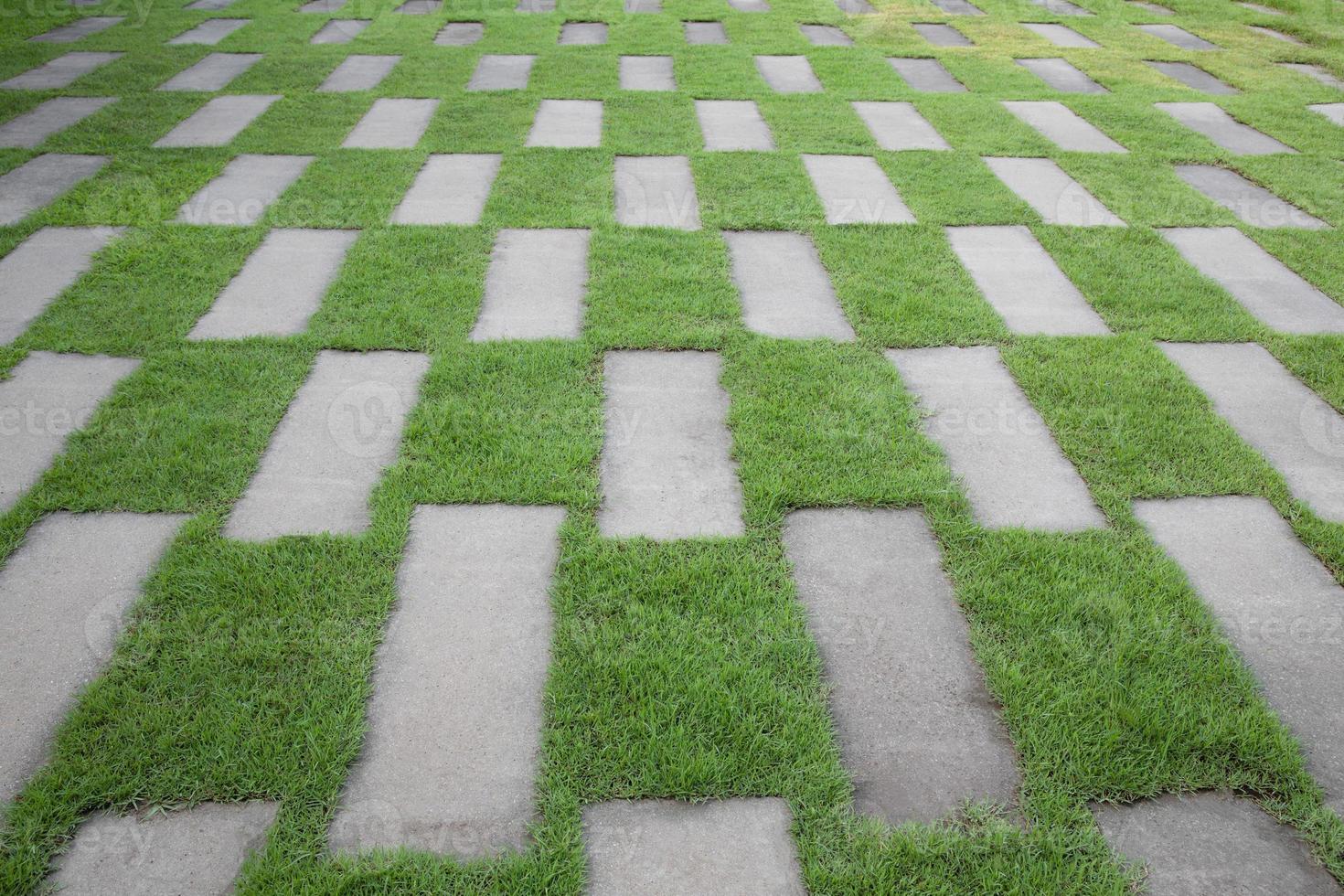 The Cement tiles between green grass background. Green grass and cement pavement. photo