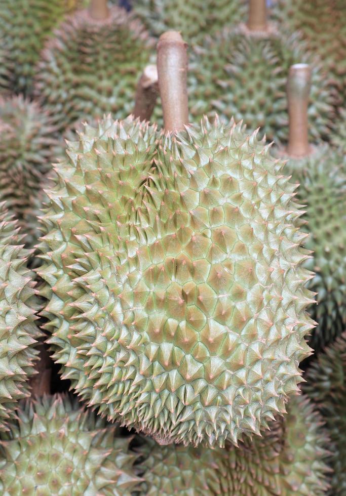 Pile of fresh durian fruit on the market stall in Thailand. photo