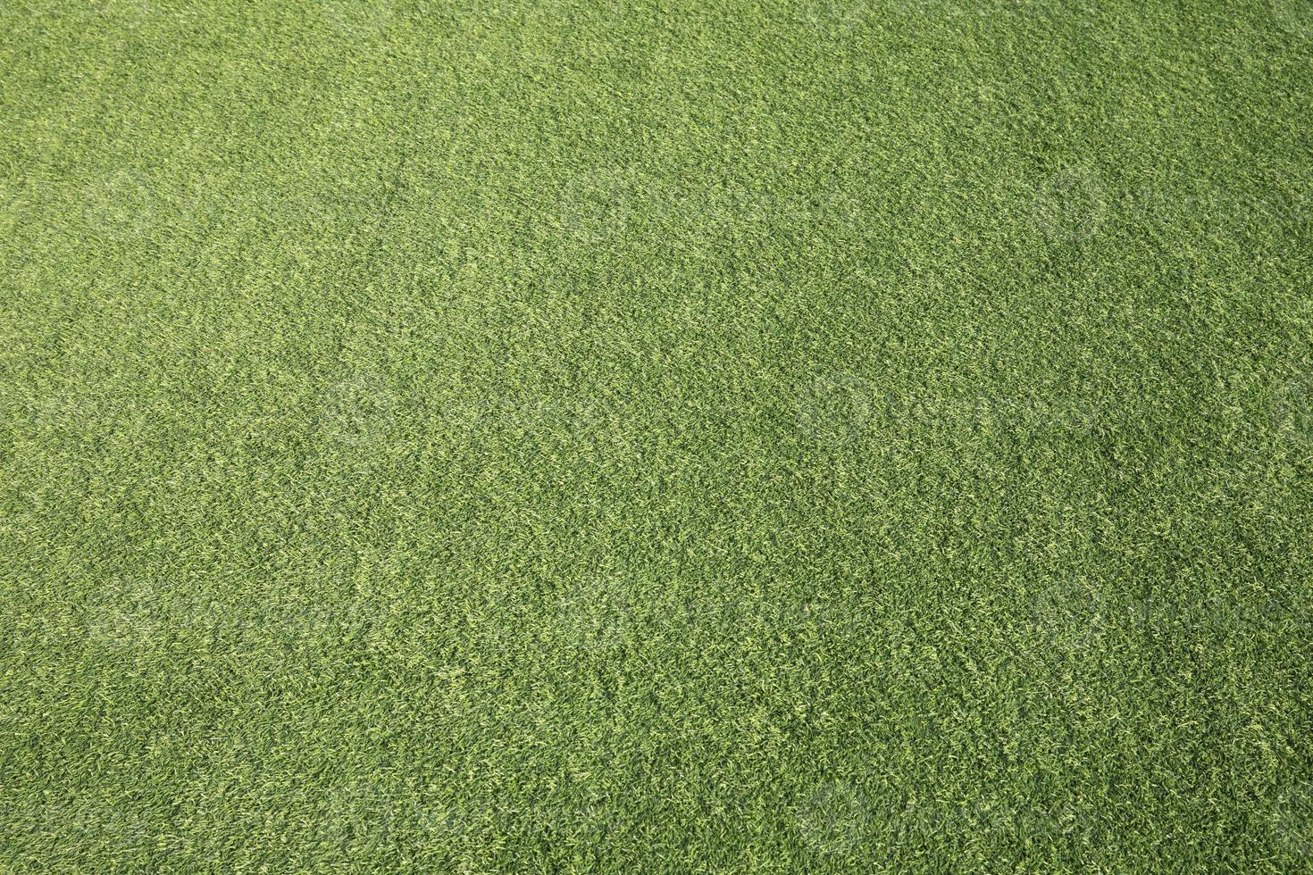 Green grass texture background. Green artificial grass. photo