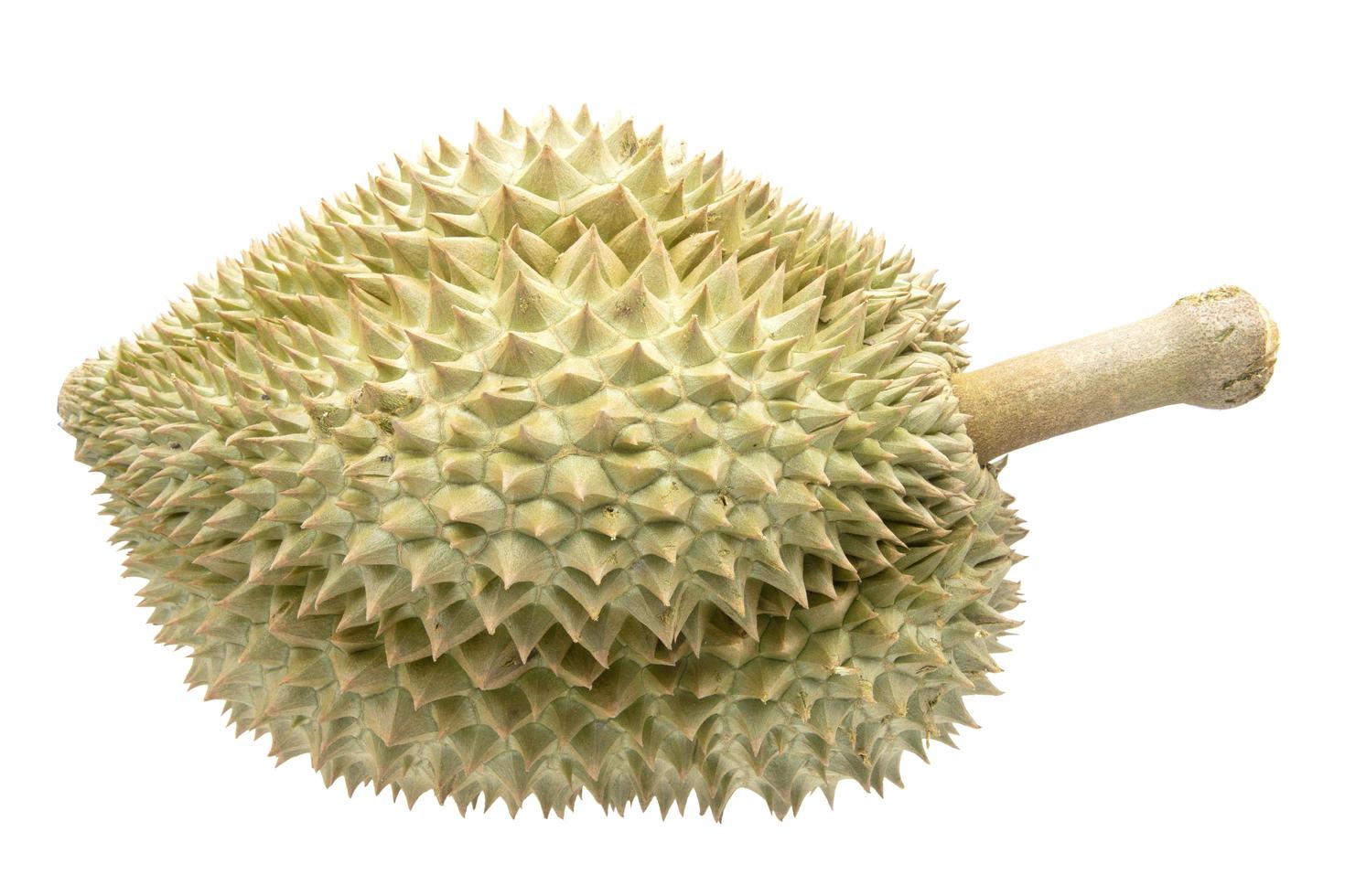 Durian fruit isolated on white background photo