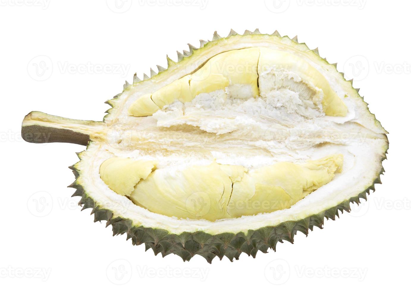 Durian fruit isolated on white background photo