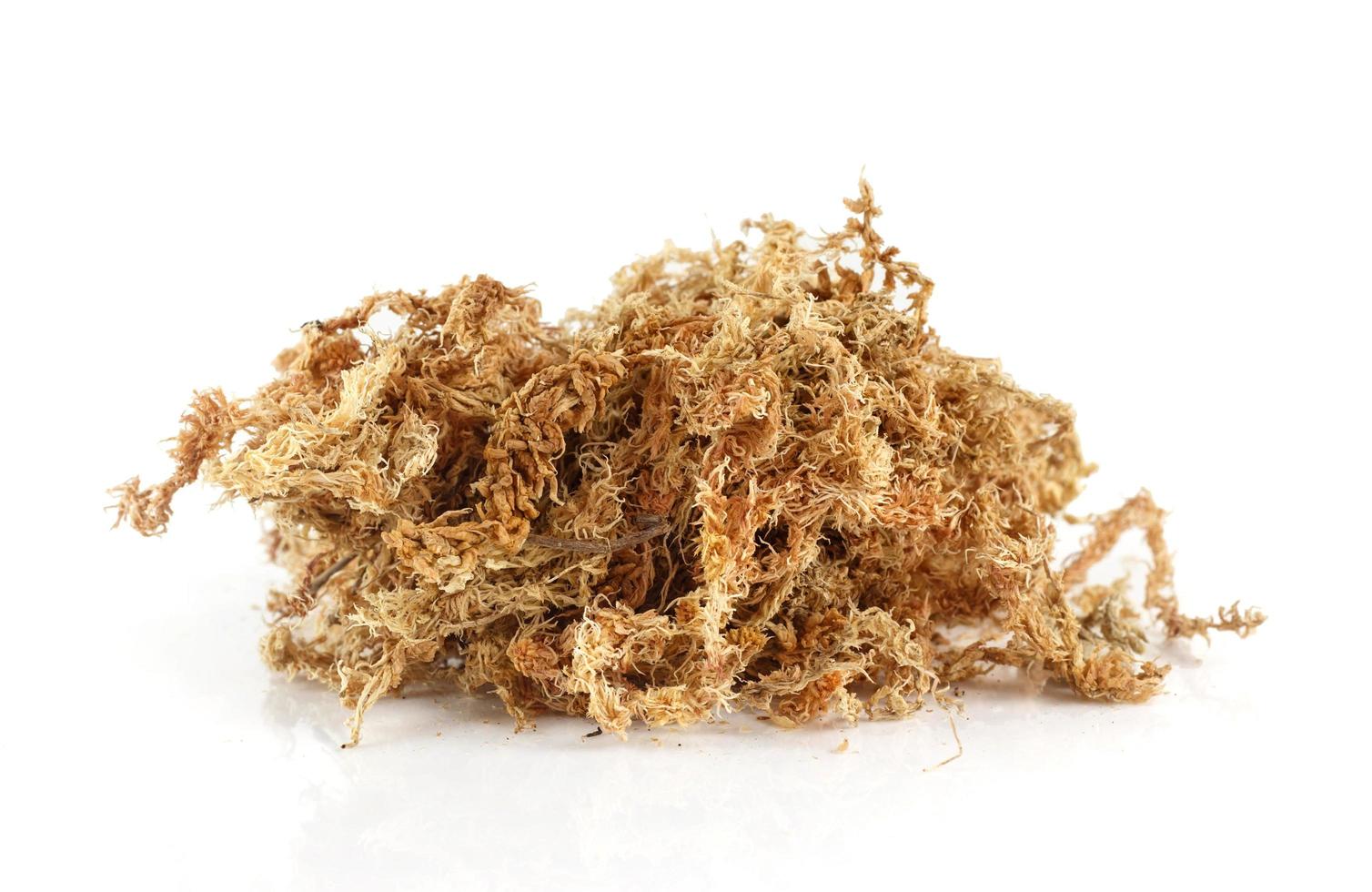 Group of dry sphagnum moss photo