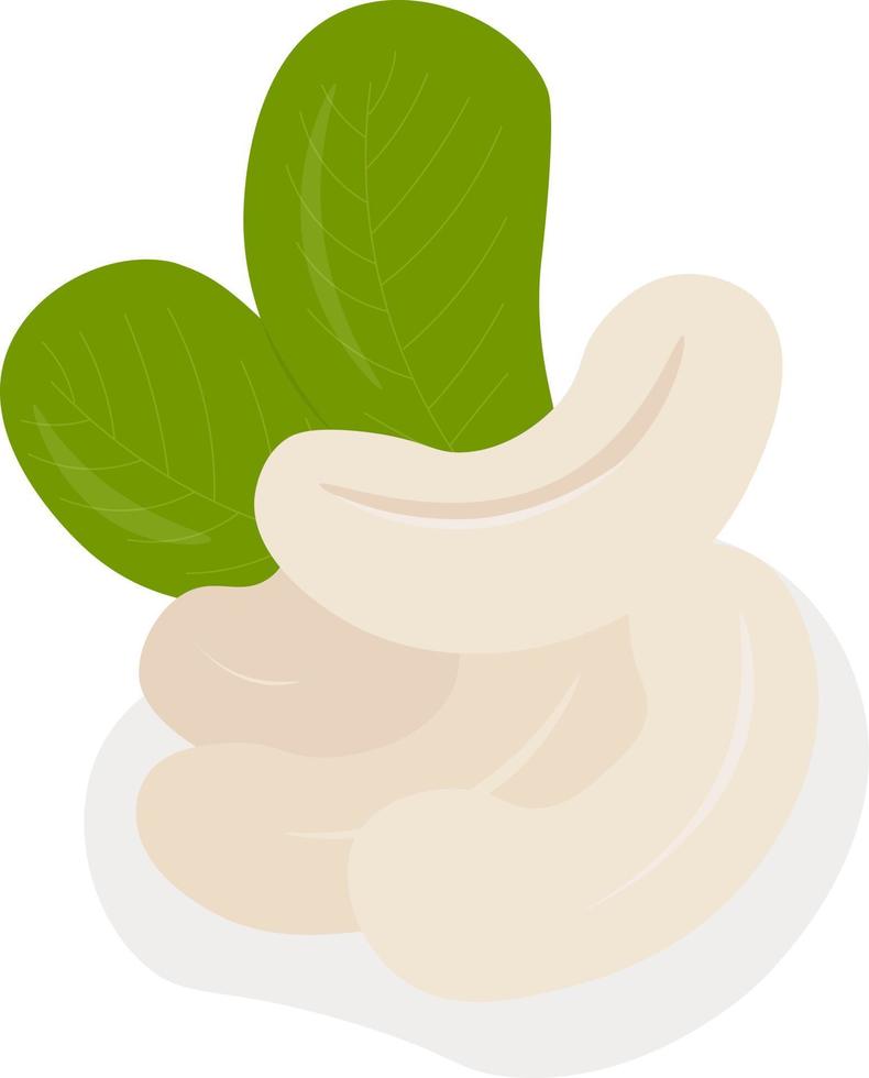 illustration of cashew nuts with leaves vector