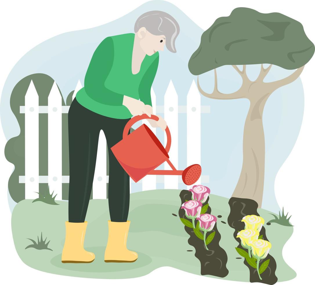 anciana regando flores en el jardín vector