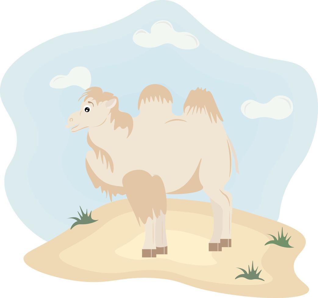 ilustración de un camello en el desierto vector