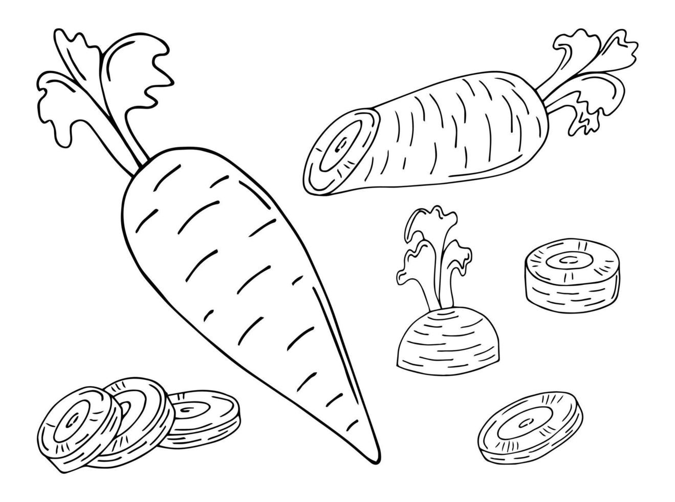 Set of black and white illustrations of garden carrots hand drawn sketch set of vector carrot , leaves for web design.