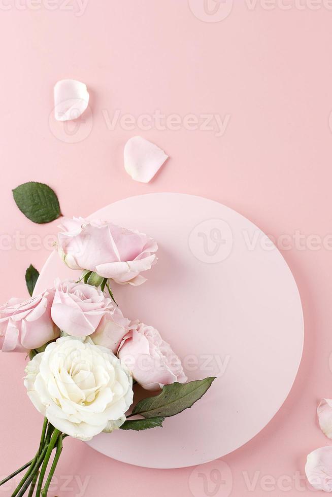 Pink and White Rose on Pink Background photo