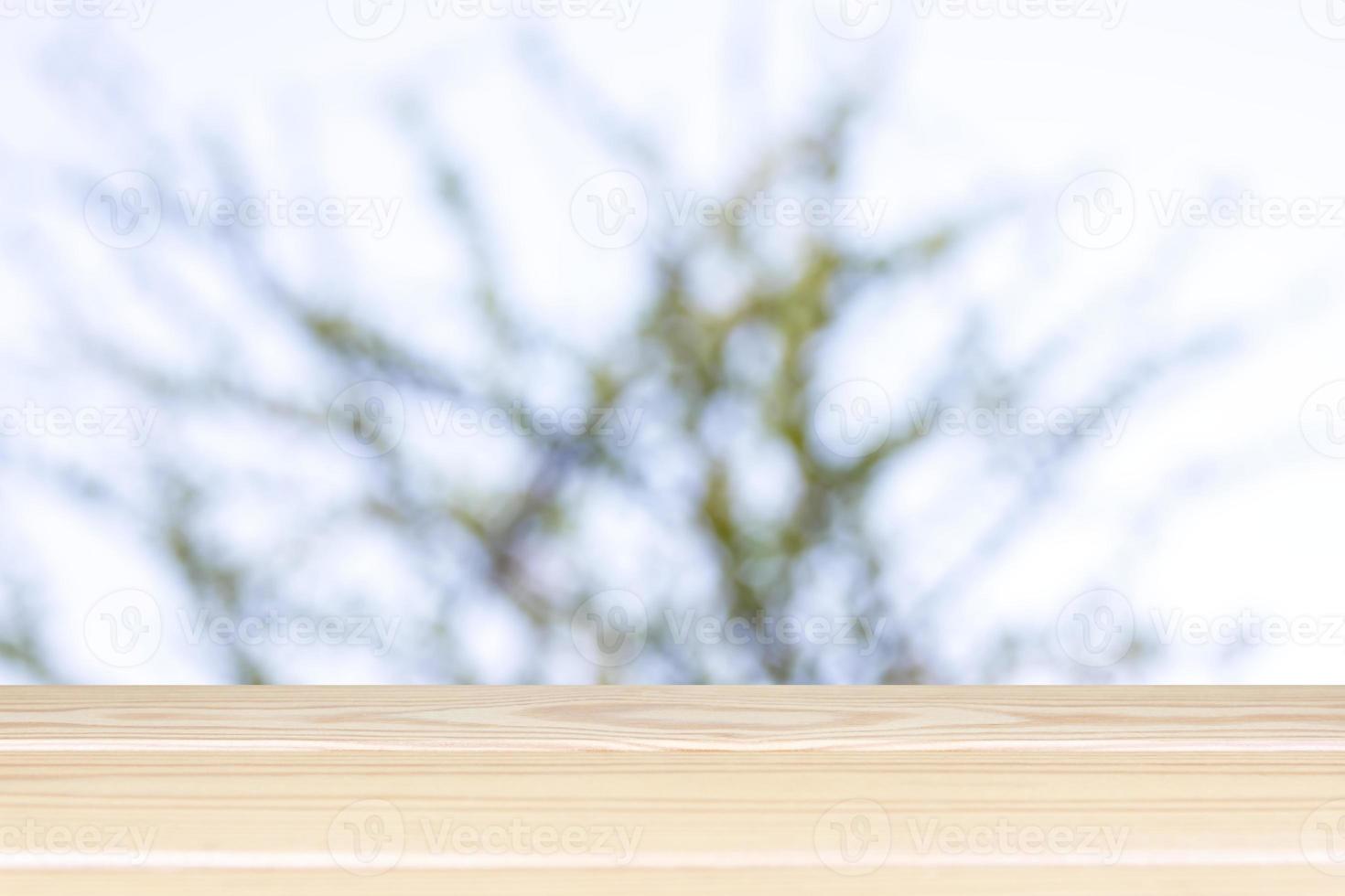 Empty wooden table with branches of tree and white in background, Montage style, For place the product. photo