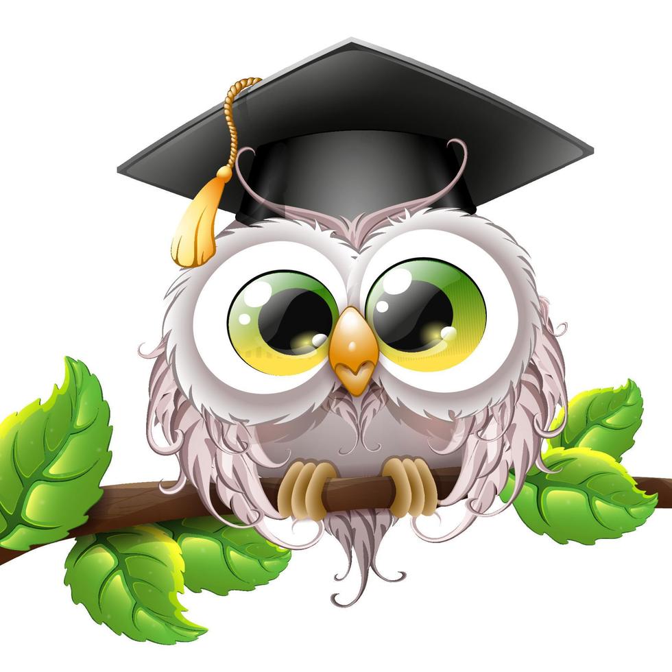 Owl in graduate cap on tree branch vector