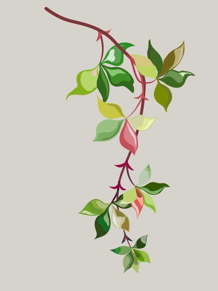 una rama de muchos tonos de hojas de color verde y rojo-rosa. vector plano, imagen aislada.