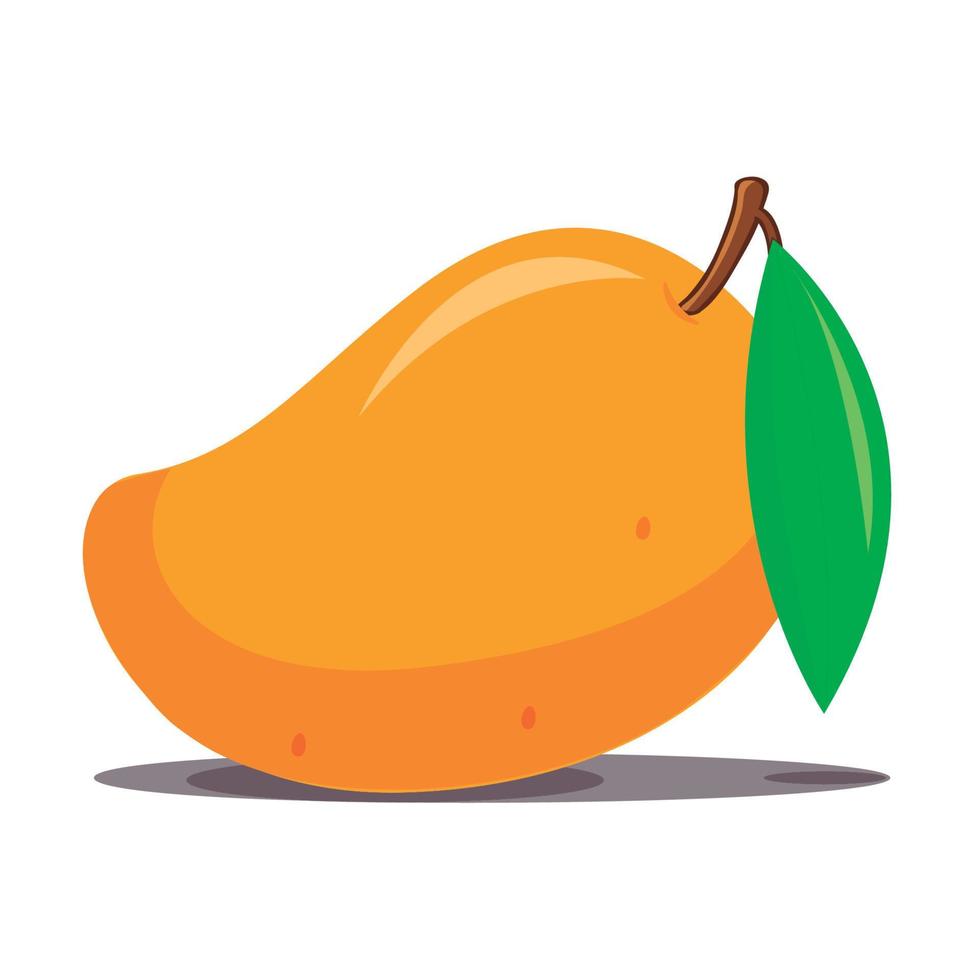 Ilustración de mango maduro aislado sobre fondo blanco. vector