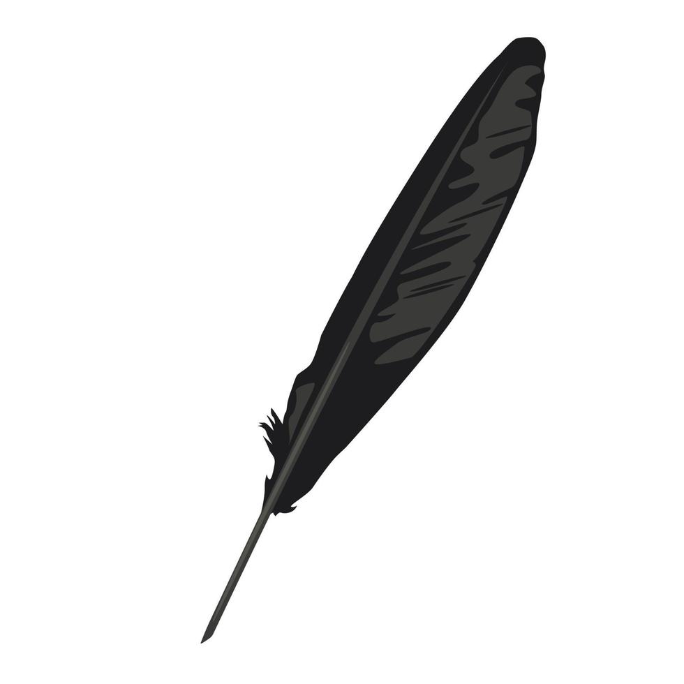 A raven's feather for writing. vector