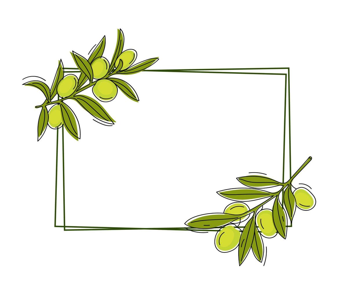 Decorative rectangular frame with olive branches for design. vector