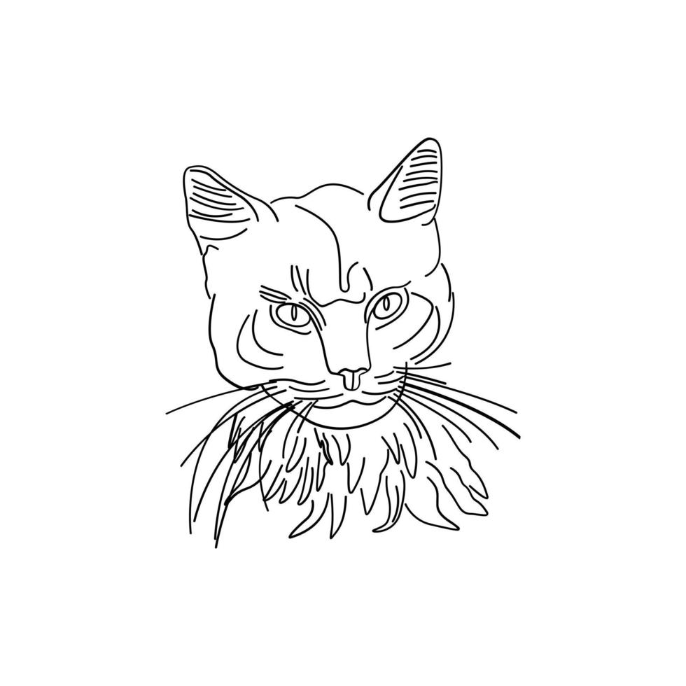 Cat animal sketch art vector