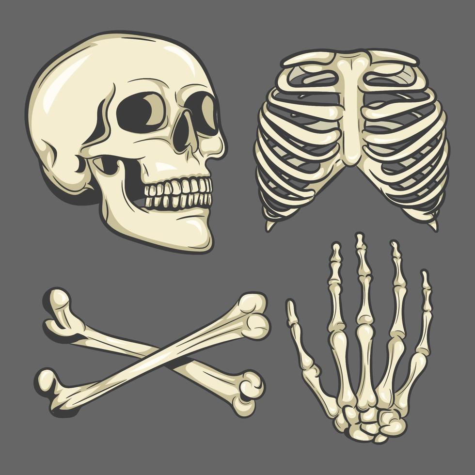 Skull vector set