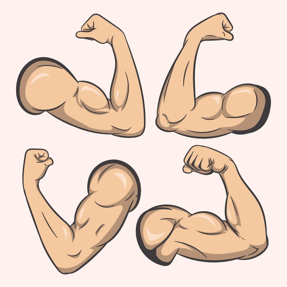 Muscle vector illustration