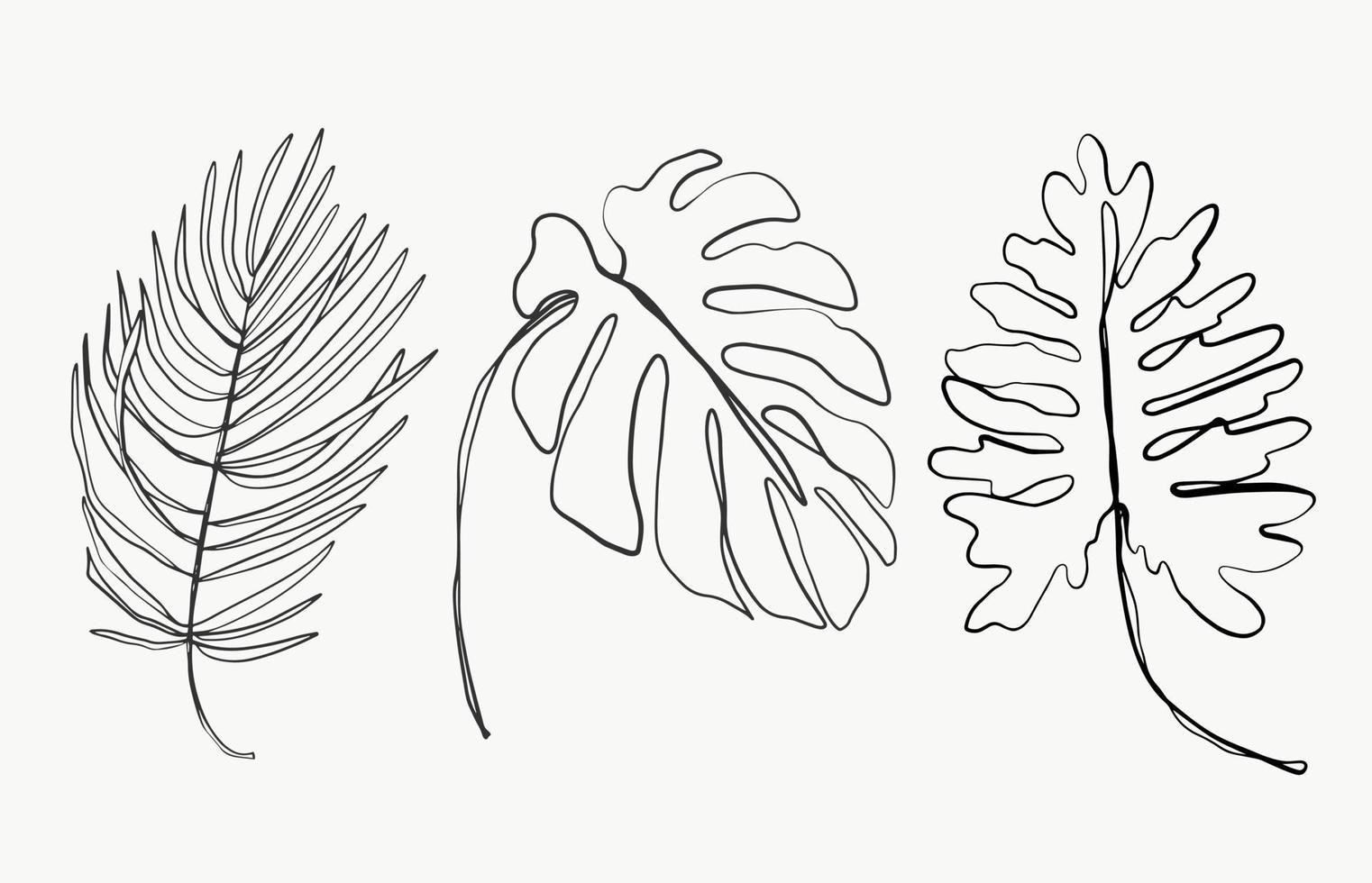 Tropical palm monstera line leaves and botanical leaves art. beautiful hand drawn exotic plants on white background. abstract modern or minimal plants line for posters. vector design