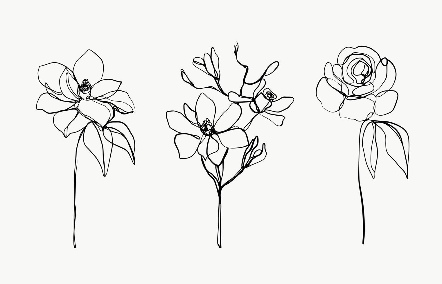 flores y linea botanica hojas art. hermosas plantas exóticas dibujadas a mano sobre fondo blanco. línea de plantas abstractas modernas o mínimas para carteles. diseño vectorial vector