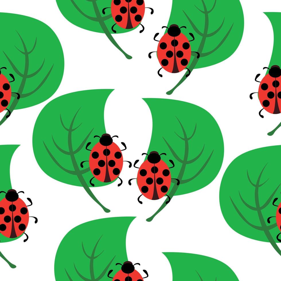 Ladybugs and green l seamless pattern, cute insects and plants on white background vector