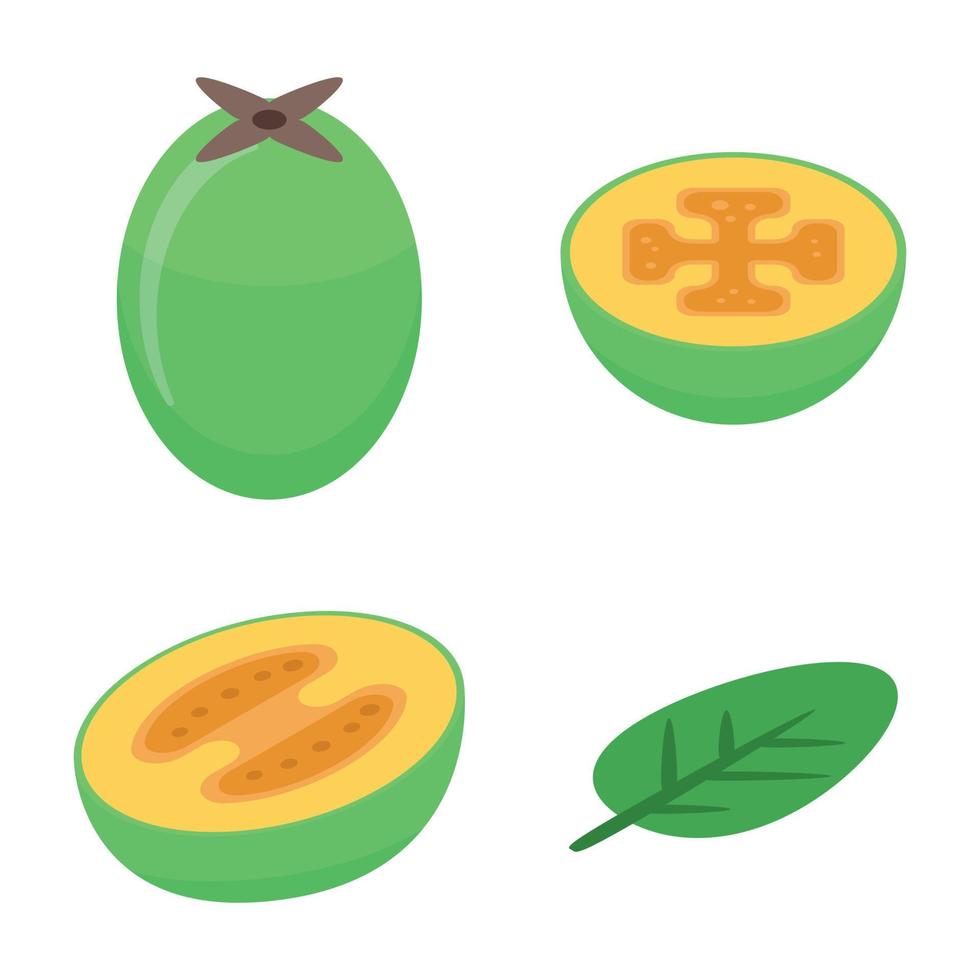 Feijoa icons set, isometric style vector