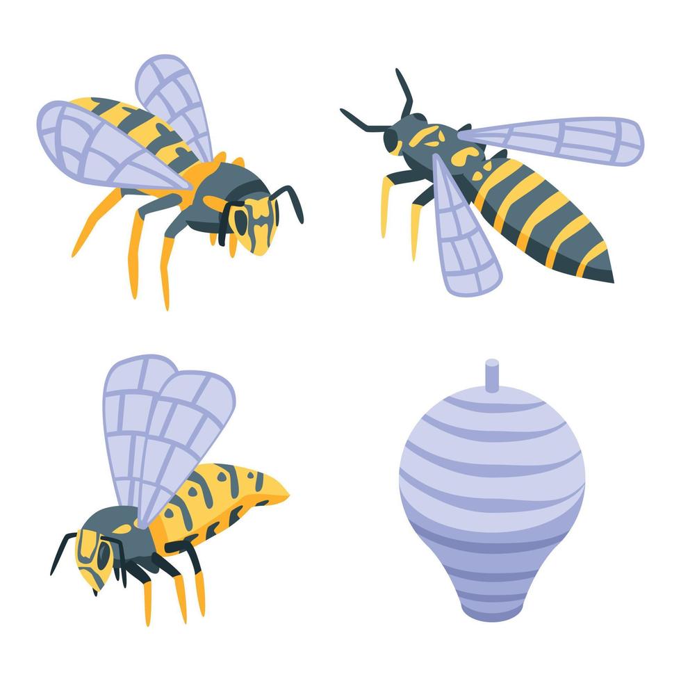 Wasp icons set, isometric style vector