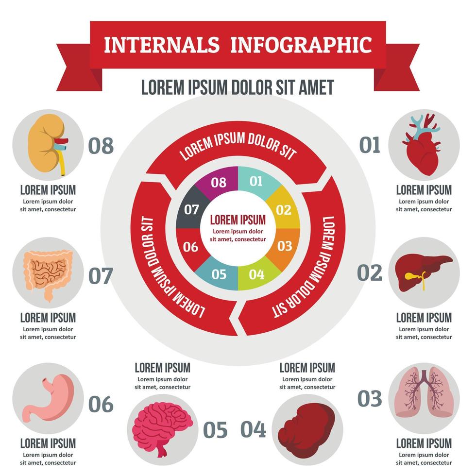Internals infographic concept, flat style vector