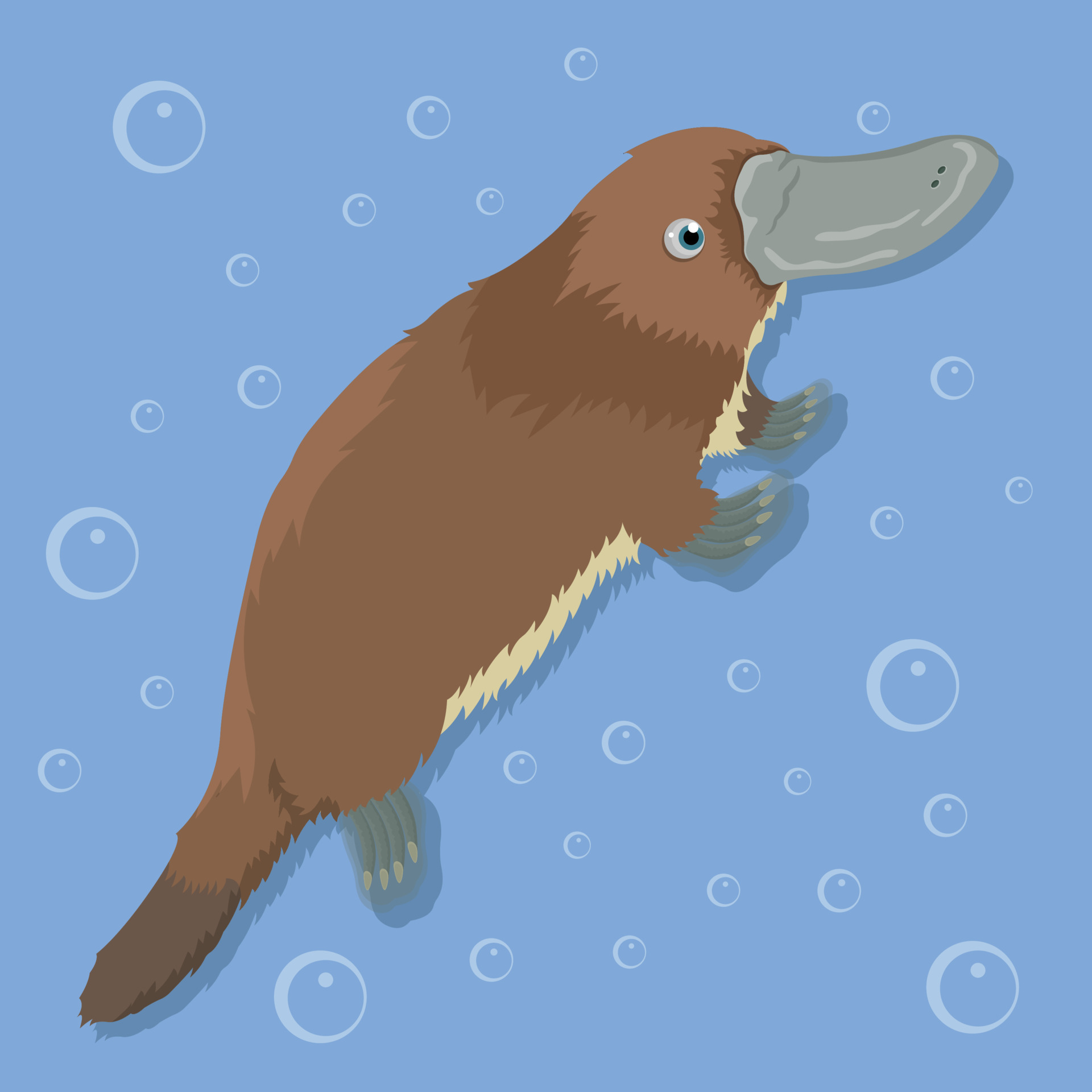 cartoon platypus with bubble background 8352515 Vector Art at Vecteezy