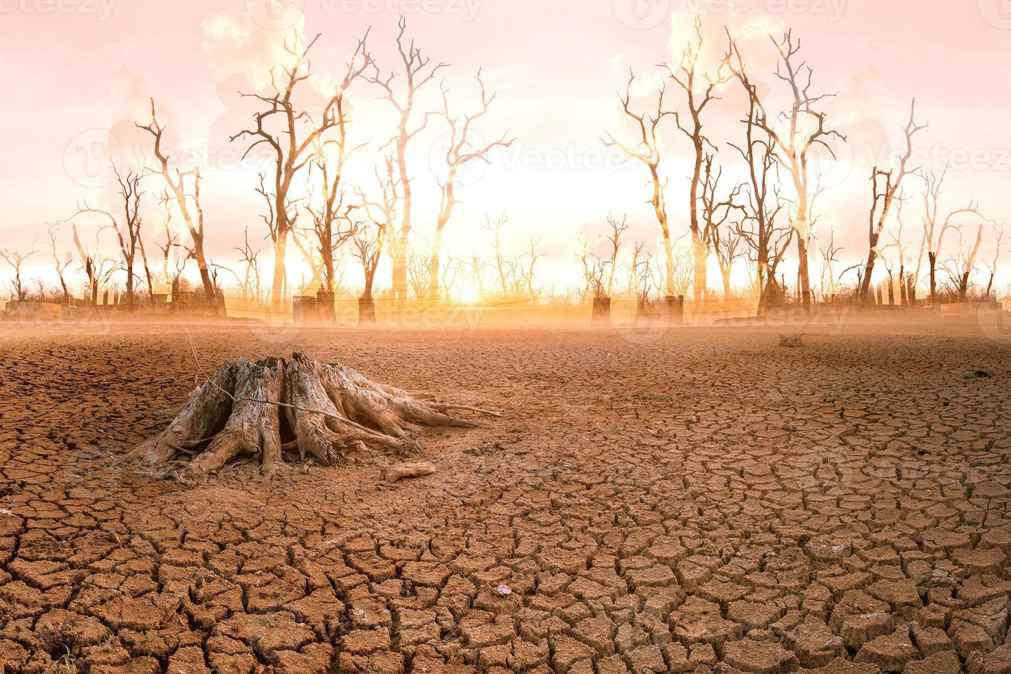 el concepto de calentamiento global y sequía y pobreza y escasez de alimentos. Los suelos áridos con climas cálidos tienen un globo que carece de espacios verdes. foto