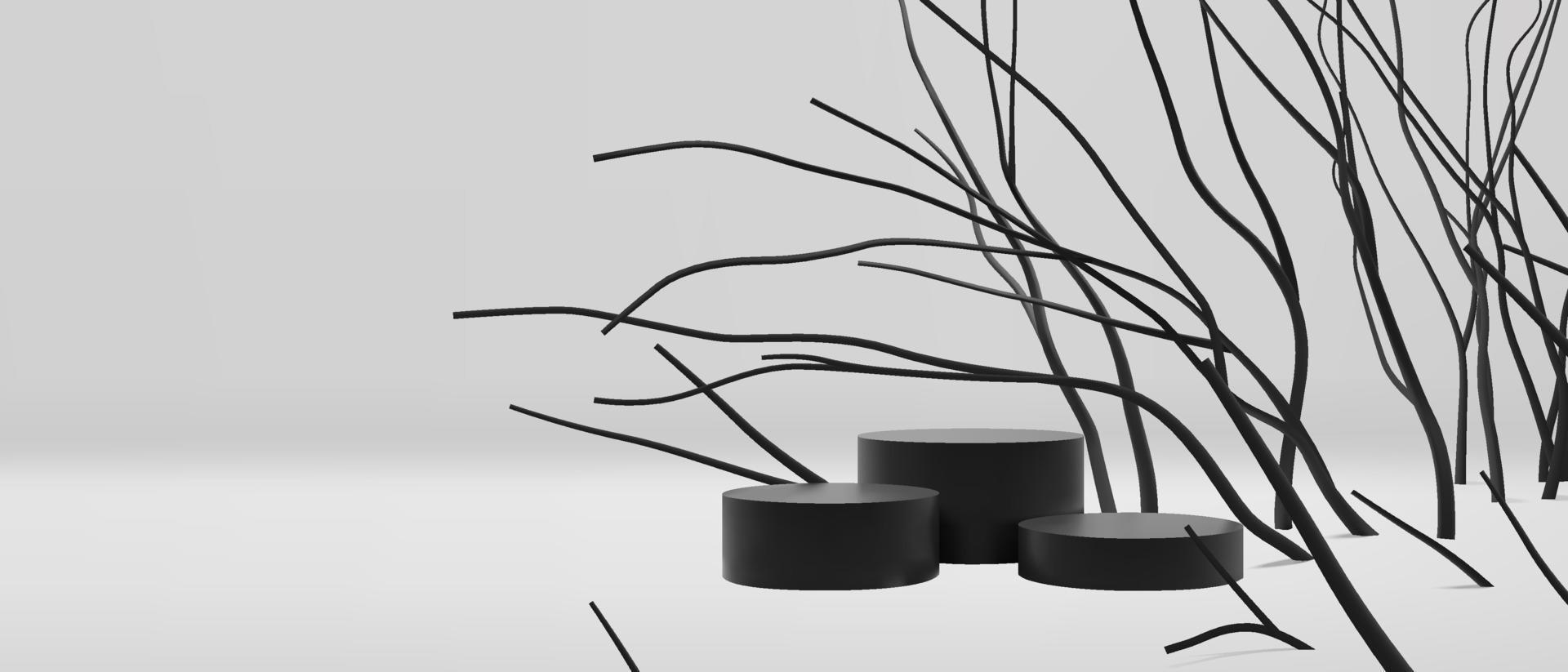 Minimal black and white empty podium template for product display presentation with realistic abstract branches vector