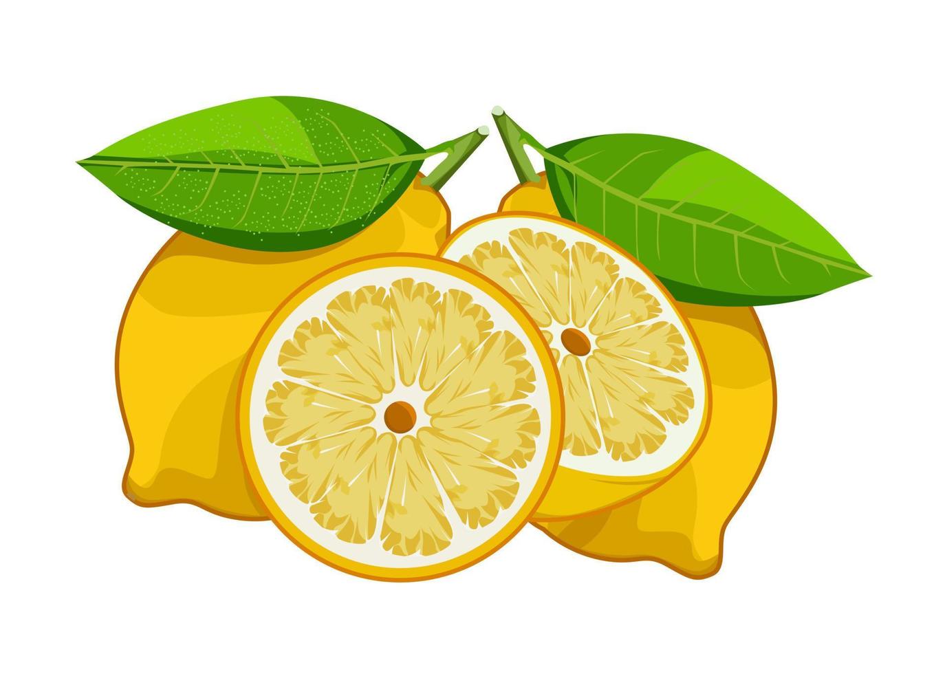 diseño de ilustración de forma de naranja fresca vector