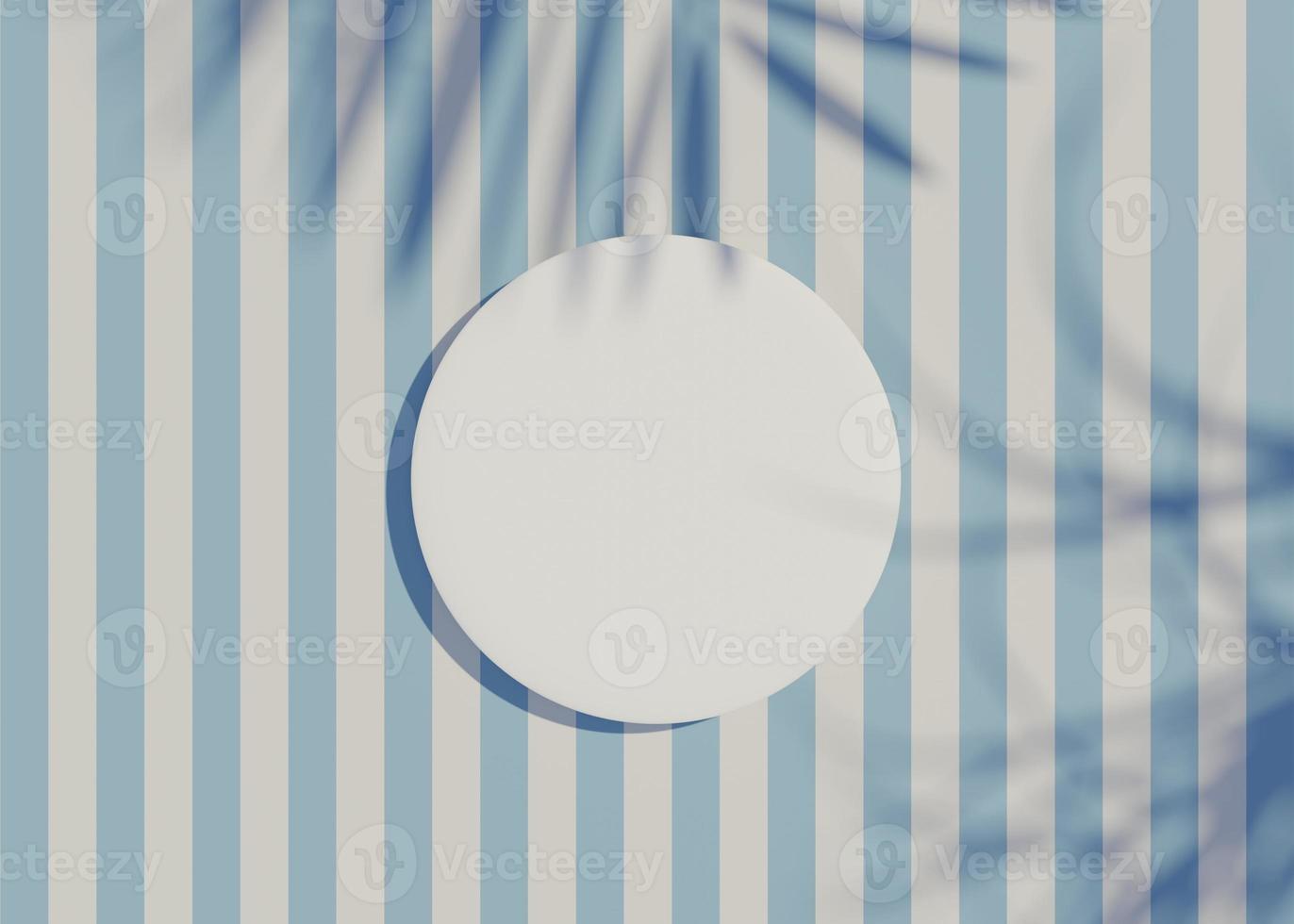 3d render top view of white blank cylinder frame for mock up and display products with shadows of palm leaves and white blue background. photo