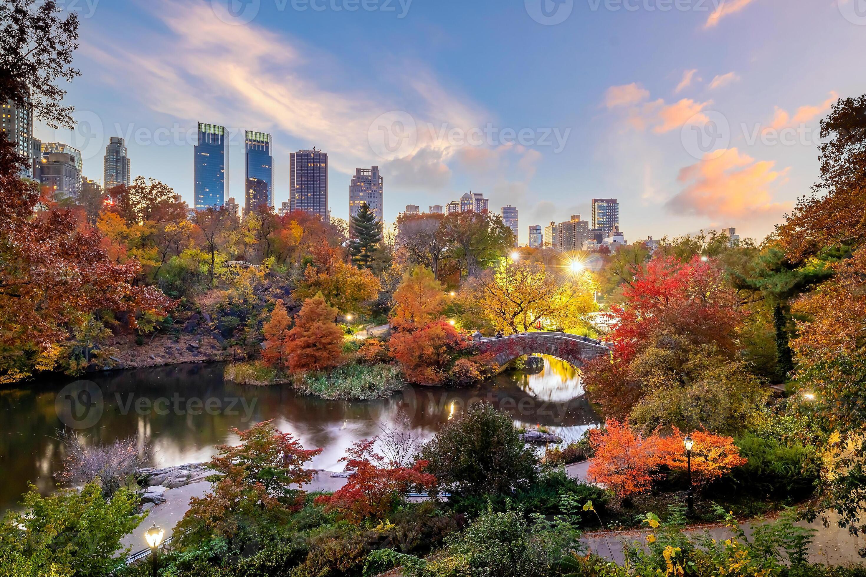 Central Park in autumn in midtown Manhattan New York City 8354520 Stock Photo at Vecteezy