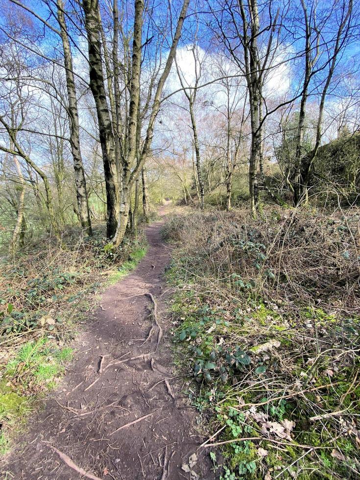 A view of the Cheshire Countryside at Bickerton photo