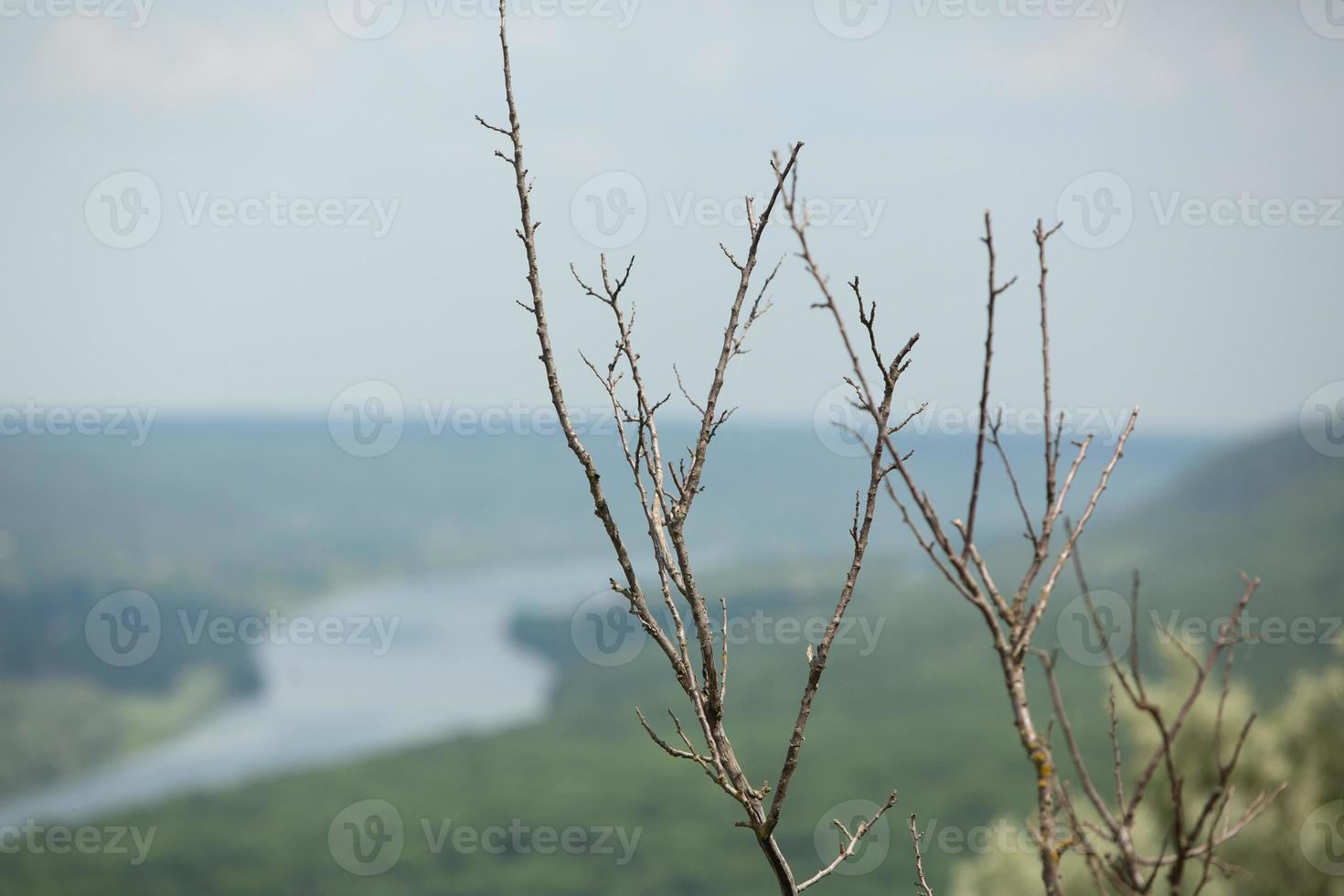 Photography with beautiful nature from Moldova in summer. Landscape in Europe. photo