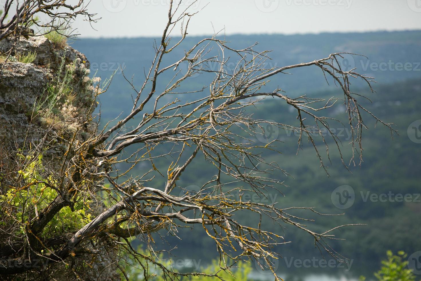 Photography with beautiful nature from Moldova in summer. Landscape in Europe. photo
