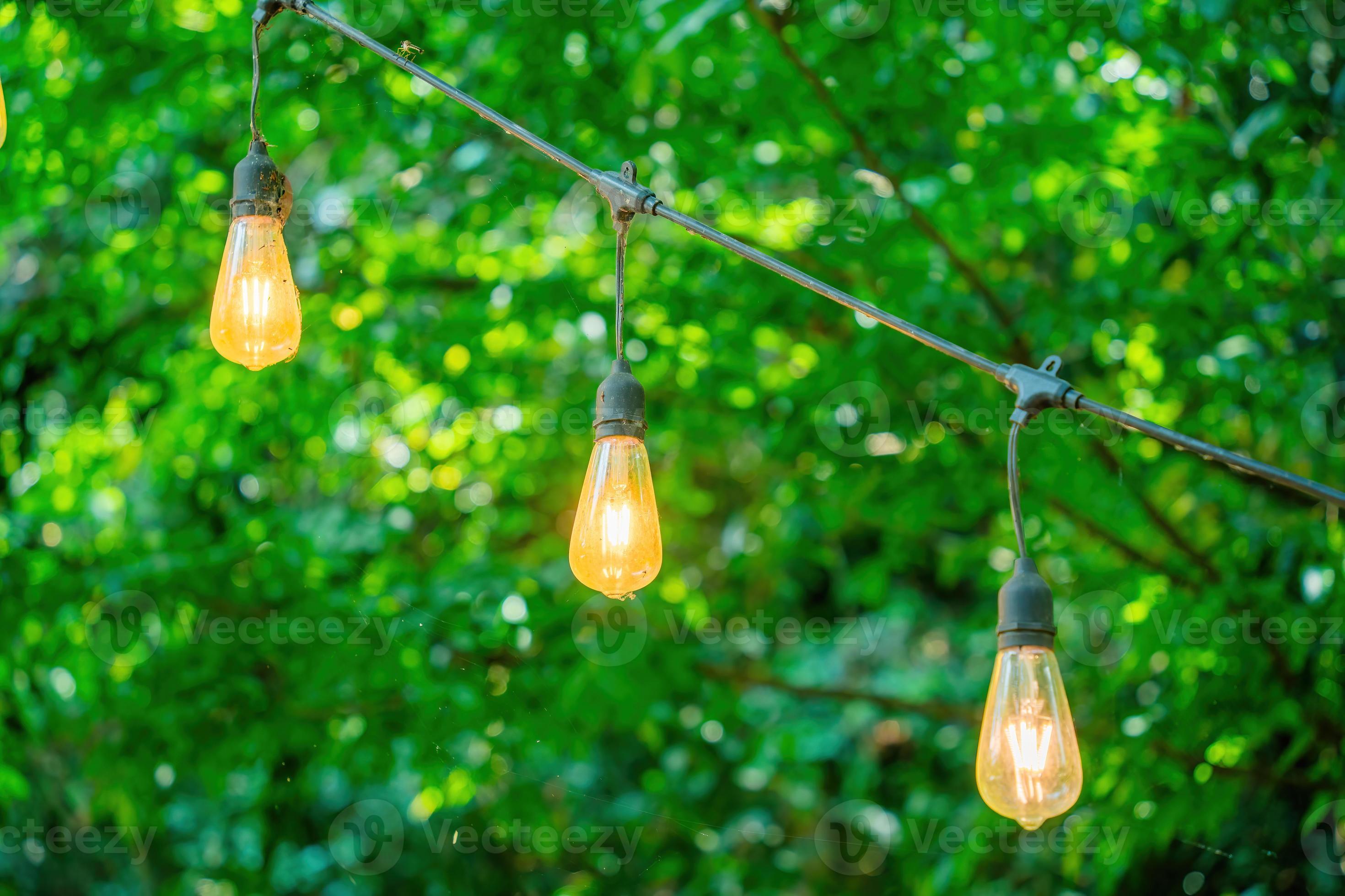 Eco on sale light bulbs