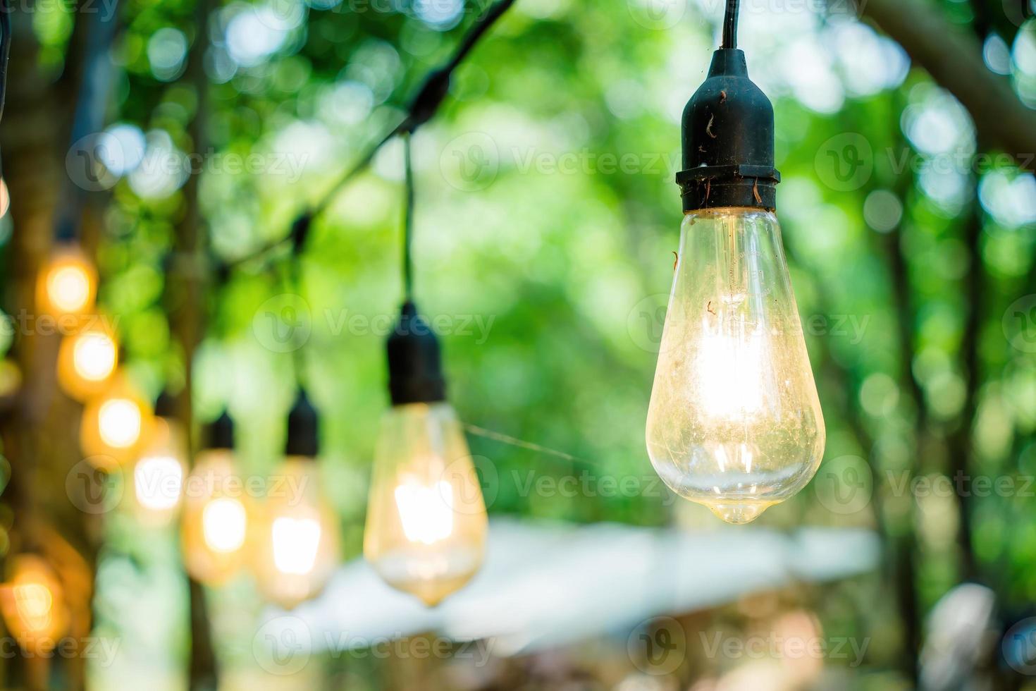 Eco best sale light bulbs