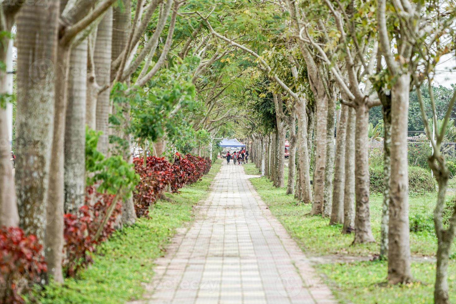 Laos brick walk way with the tree in the beside all the way. photo