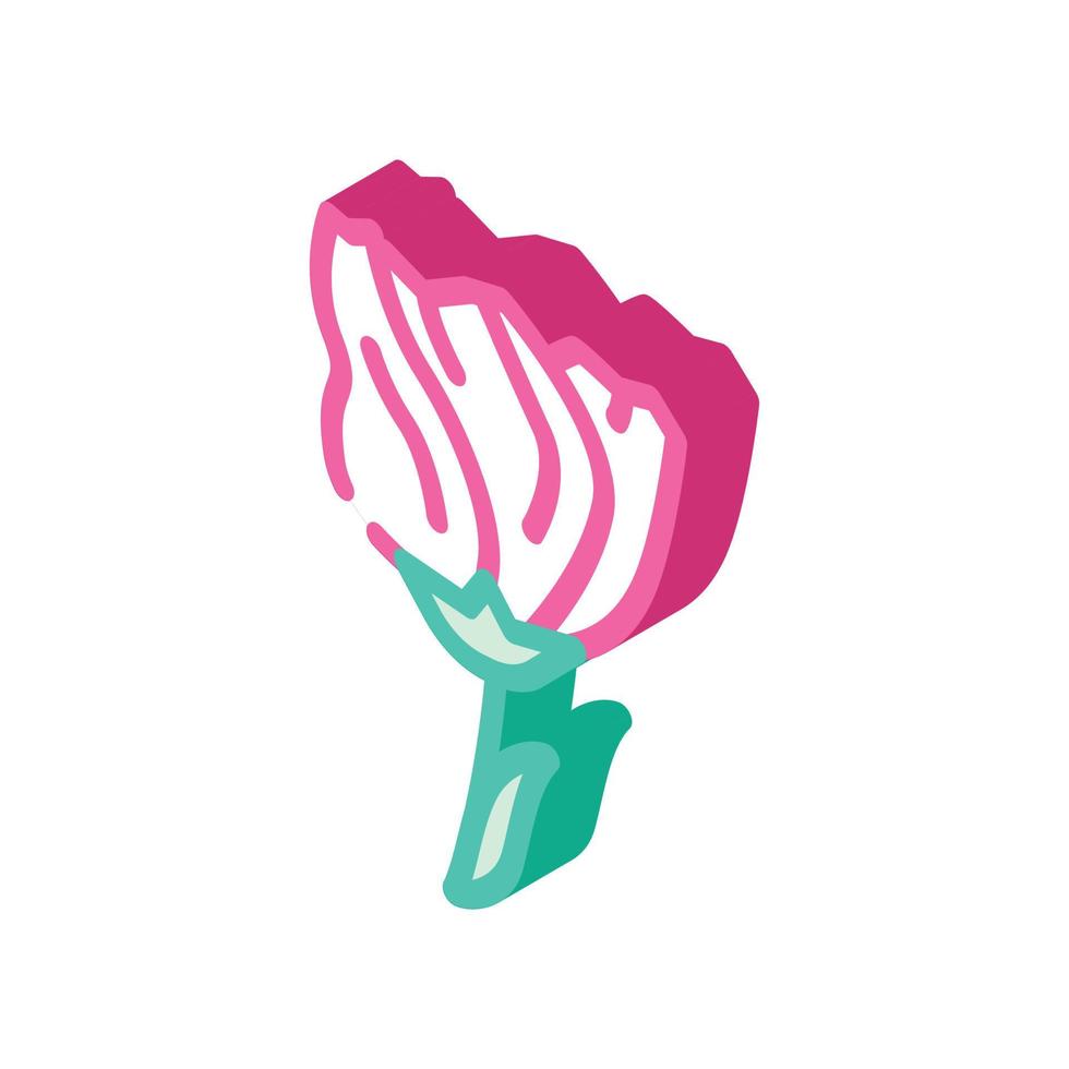 lisianthus flower isometric icon vector illustration