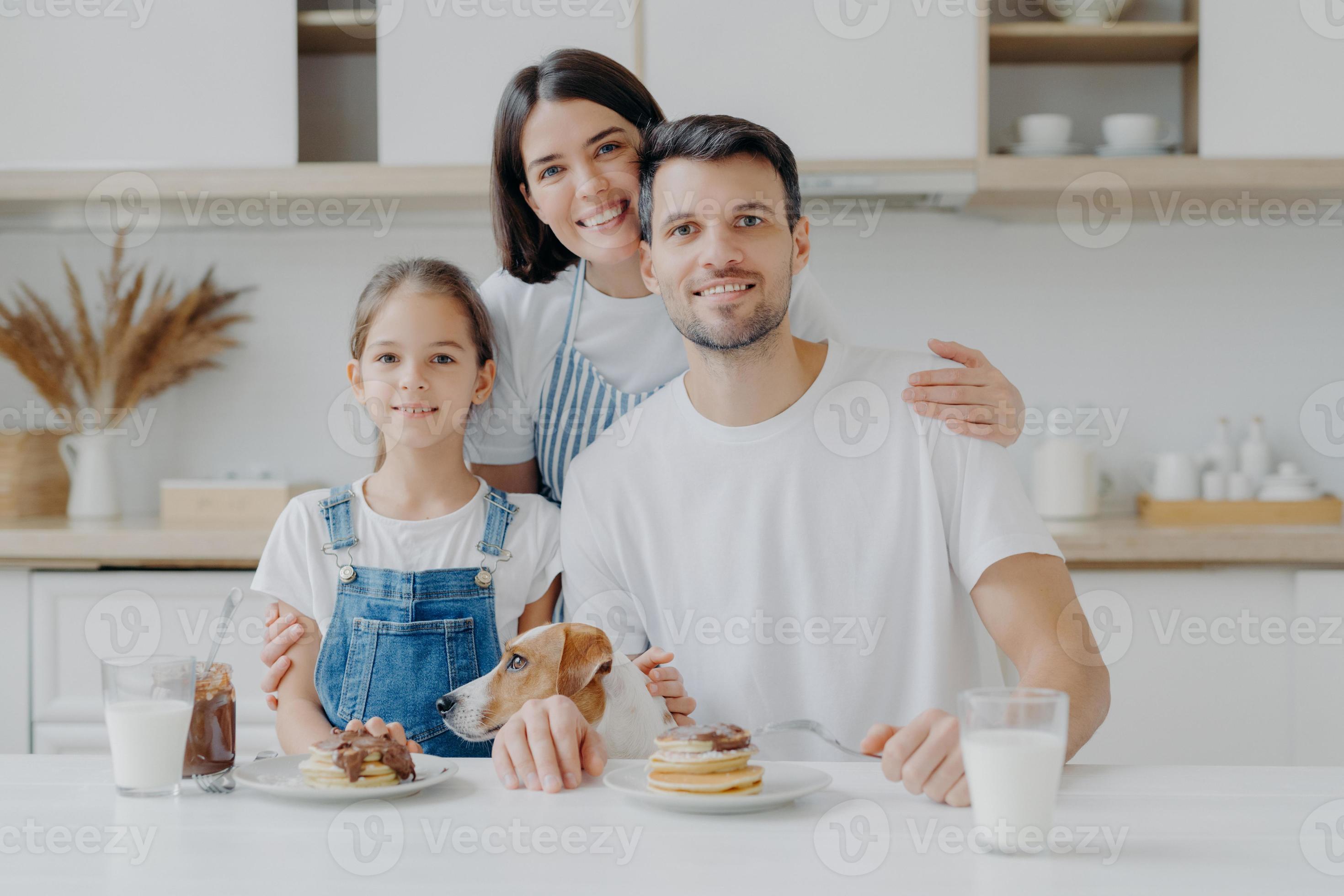 dog pose in cozy kitchen