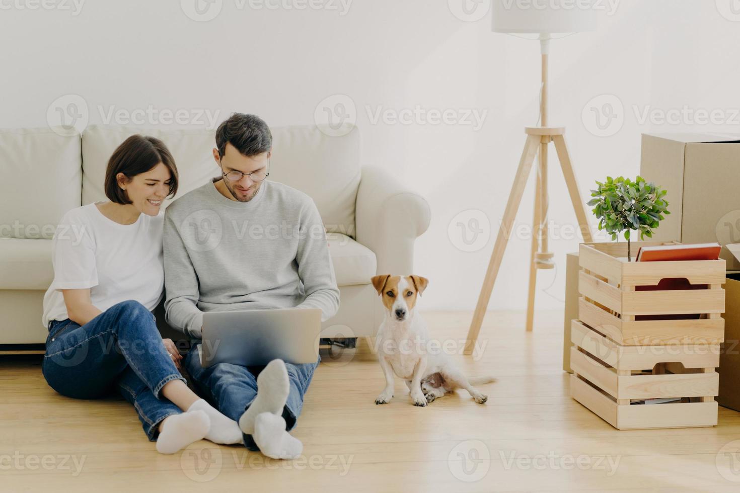 Young European family couple relax during home renovation, focused in laptop computer, plan redecoration, sit near couch with favourite pedigree dog, boxes with personal stuff and floor lamp photo