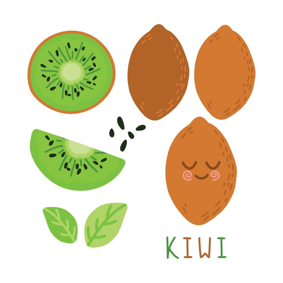 conjunto de frutas. recolección de frutas de verano. frutas kiwi. comida vegetariana y ecológica. ilustración vectorial vector