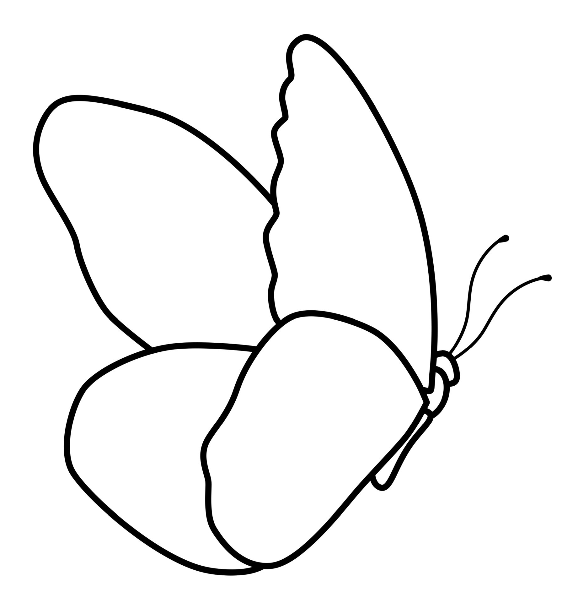 Butterfly black and white outline illustration. Coloring book or page
