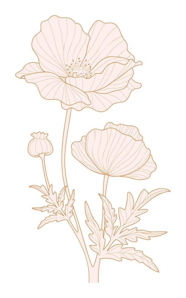 Poppy flowers silhouette for design. Beautiful flowers and leaves vector illustration