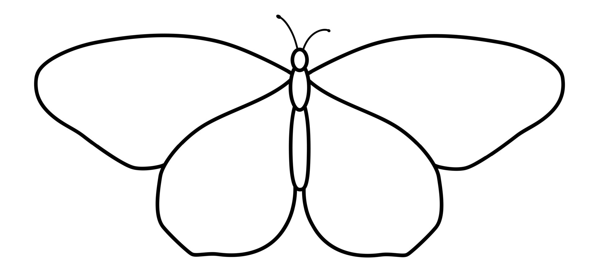 Butterfly black and white outline illustration. Coloring book or page